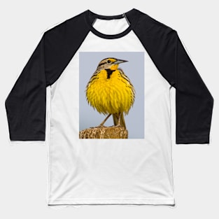 Eastern Meadowlark No 1 Baseball T-Shirt